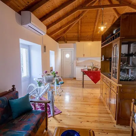 The Courtyard House Lejlighed Dhimini